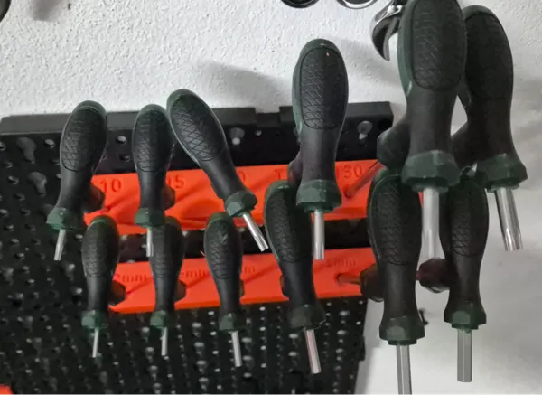 https://makerworld.bblmw.com/makerworld/model/USd91230e3ff5e2/design/2024-11-05_77f0398c1d921.jpg