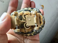 Skateboard pour tortue — photo 3