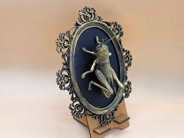 https://makerworld.bblmw.com/makerworld/model/USd913647be99c82/design/6d7869189972c804.jpeg