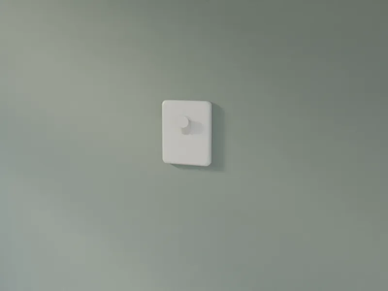 Picture hook