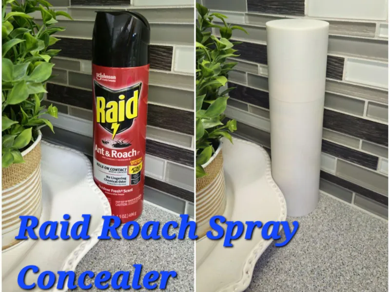 Raid Roach Spray Concealer