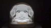 0.16mm layer, 2 walls, 5% infill