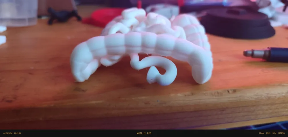 Anatomical model of the small and large intestine by N0va42 MakerWorld ...