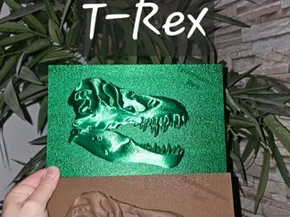 Dino T-Rex Fossil
