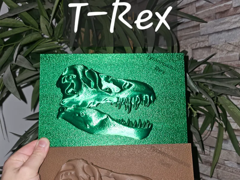 Dino T-Rex Fossil
