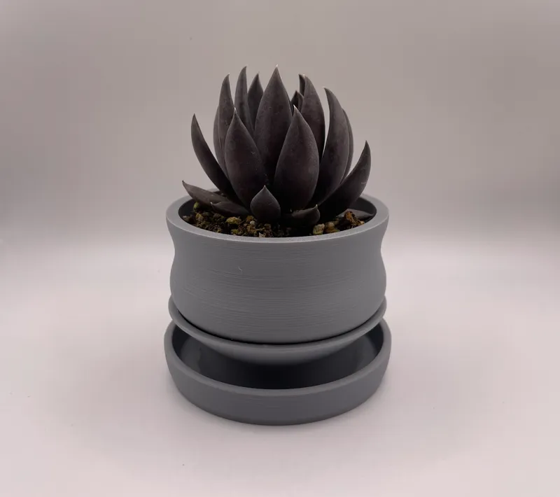 Blob Succulent Pots with Drip/Bottom-Watering Tray