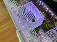 PETG, 0.2mm layer, 3 walls, 15% infill
