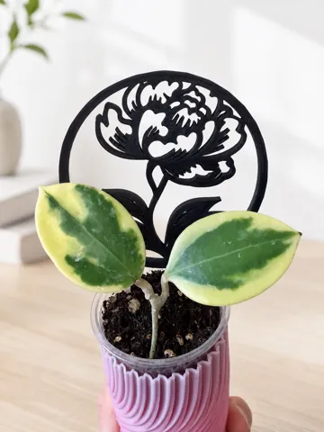 Soporte: Mai Bloom Peony Trellis Trio — vista de referencia 3