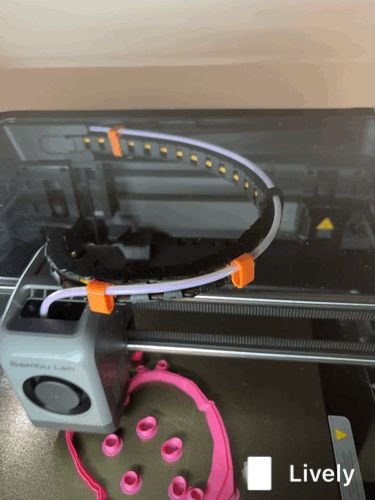 https://makerworld.bblmw.com/makerworld/model/USd92ca2e95723be/design/9647614b4dd14157.gif