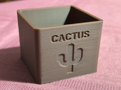 Cactus Pot
