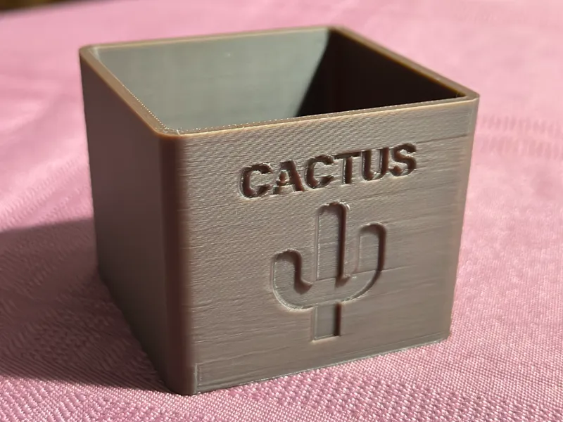 Cactus Pot