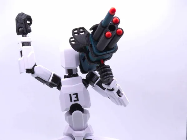 https://makerworld.bblmw.com/makerworld/model/USd92cfb235883e/design/2025-01-31_646564d51e285.jpg