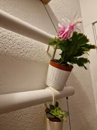 Vase pour plante — photo 2