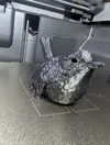 OPTIMISED FAST ECO 0.24mm layer, 2 walls, 5% infill