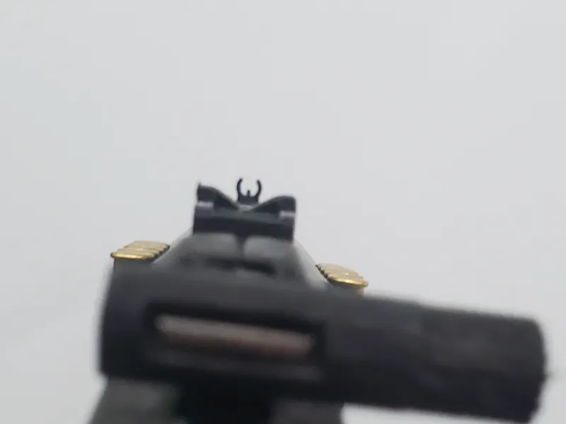 Chiappa Little Badger printed "express" sights
