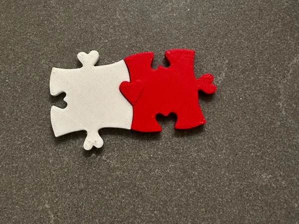 https://makerworld.bblmw.com/makerworld/model/USd935a54b18ea4b/design/2025-01-21_86df589bb6341.jpeg