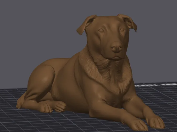 Chocolate Labrador (Realistic)