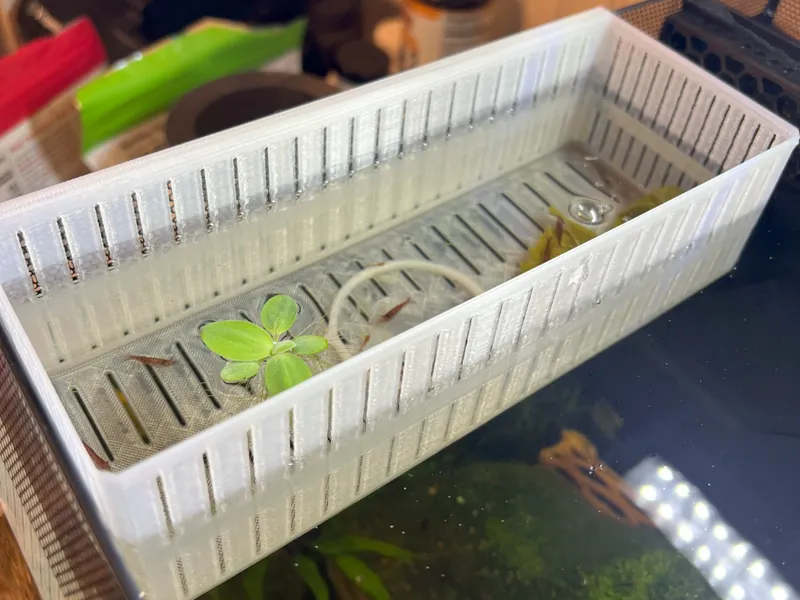 Aquarium Critter Isolation Box