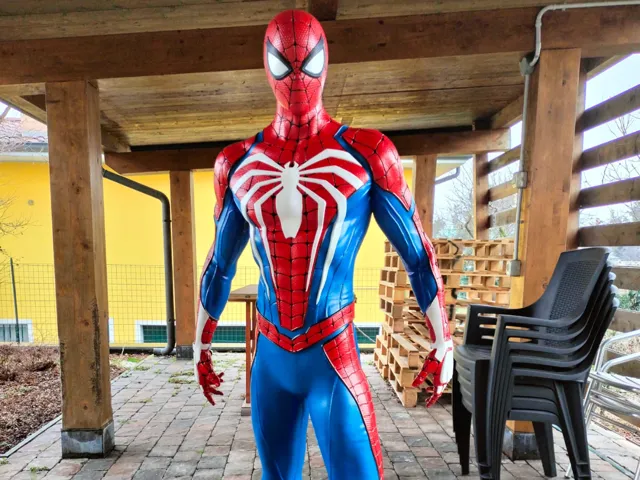 Spiderman Real Dimension
