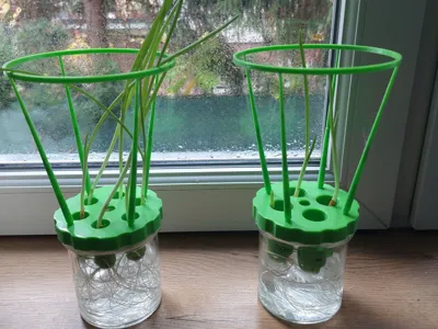 European jar lid for growing spring onions.