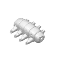 Tardigrade articulé — photo 3
