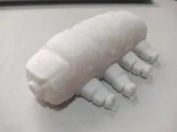 Tardigrade articulé — photo 2