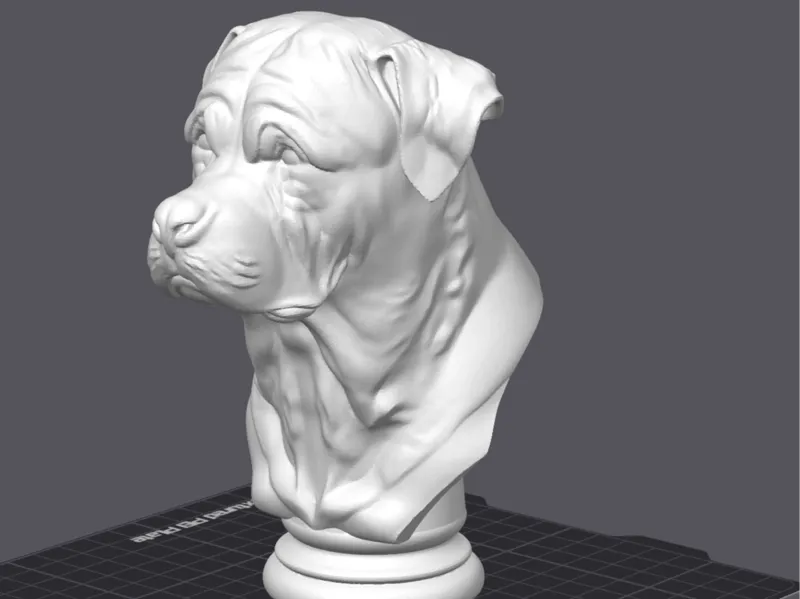 ROTTWEILER BUST