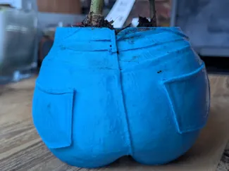 Woman Jeans Butt Planter Solo
