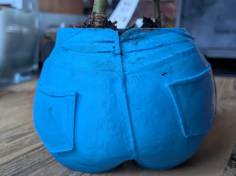 Woman Jeans Butt Planter Solo