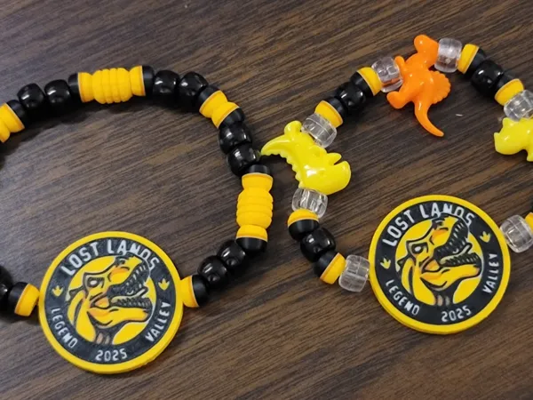 https://makerworld.bblmw.com/makerworld/model/USd94d1a54925c21/design/2025-09-08_b81b39ade31d.jpg