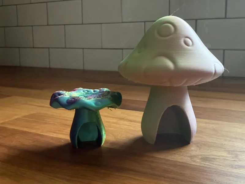 Mushroom Fairy Homes