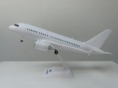 1/80 scale A318 