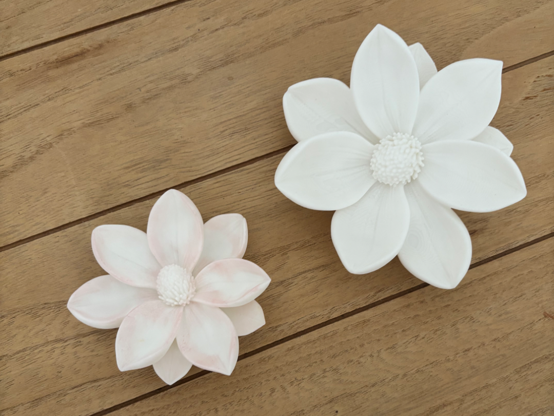 Süße Magnolie