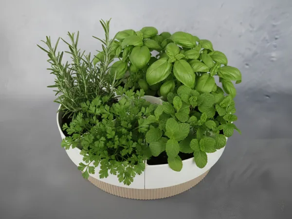 https://makerworld.bblmw.com/makerworld/model/USd9623f8aaa3e97/design/3064d735851c2196.jpg