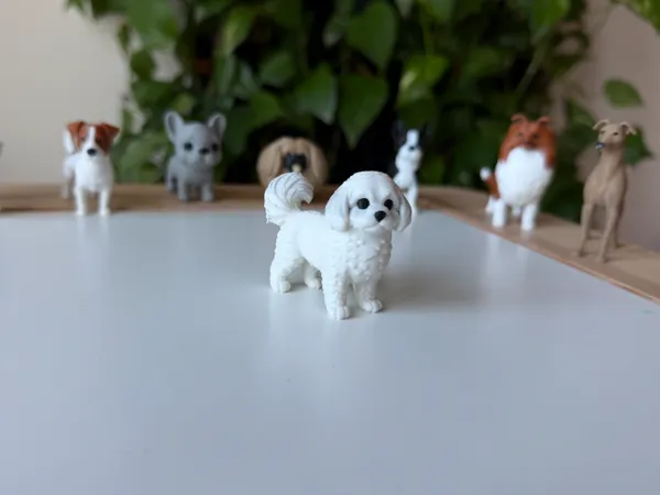 https://makerworld.bblmw.com/makerworld/model/USd964a914fa44c6/design/e4941668e5ff3a71.jpeg