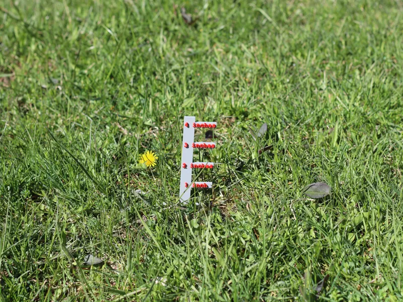 Grass measuring stake 