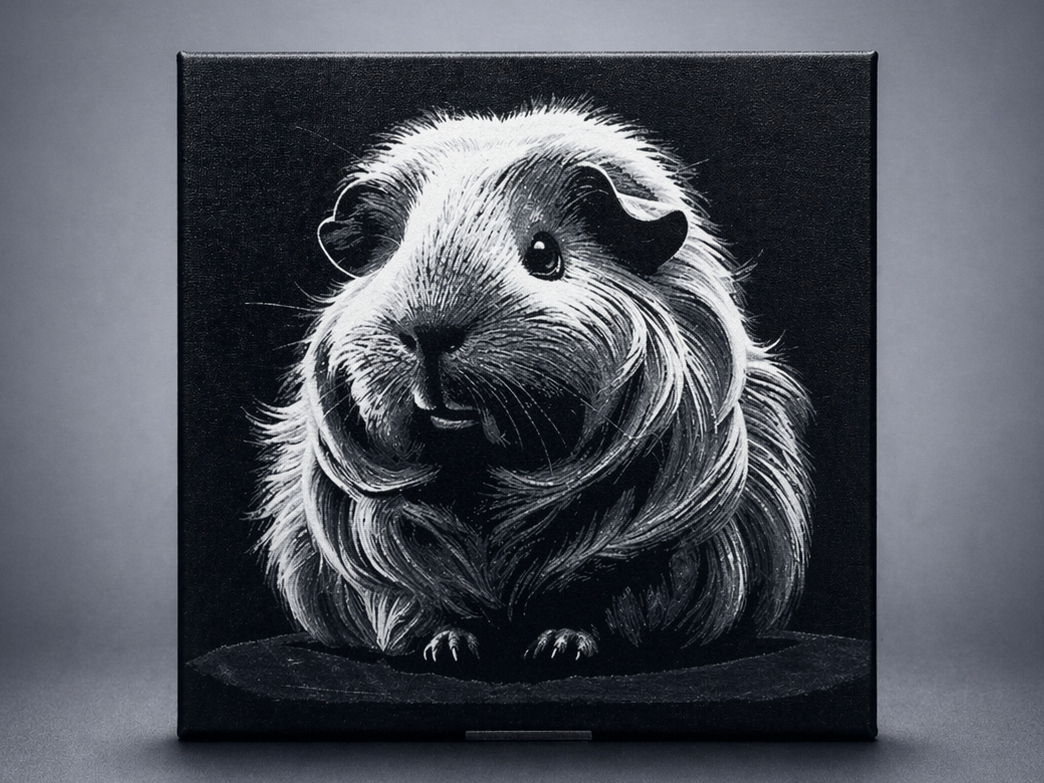 Guinea pig