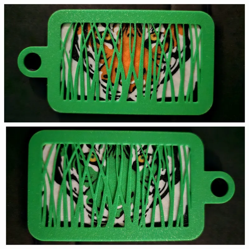 Tiger Camouflage! Color Blind Prey Animal Example!