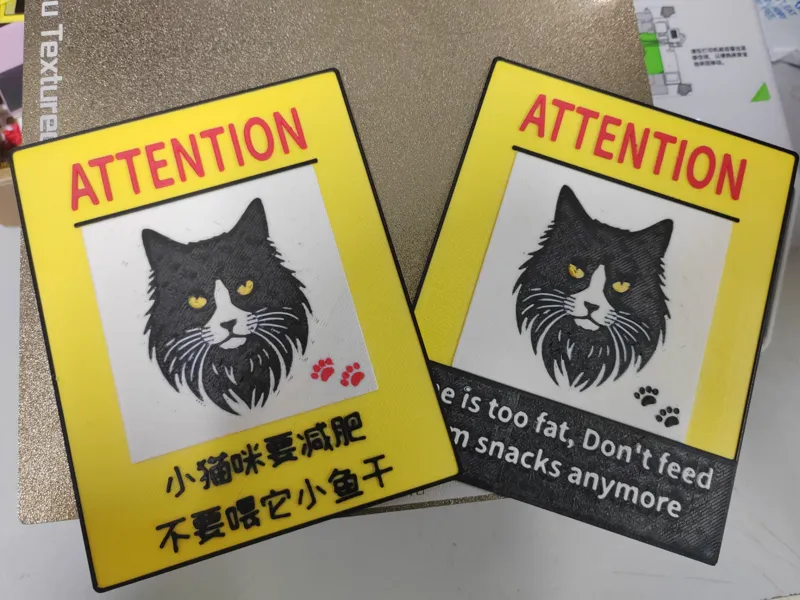 不要喂猫猫 Don't feed the cat