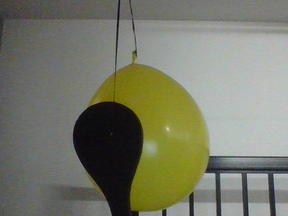 Bounce-Bach Paddleball for Balloons 3D model