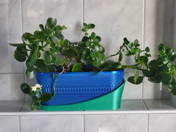 https://makerworld.bblmw.com/makerworld/model/USd971174c8842f7/design/2025-03-17_94cffd2e7089b.jpg