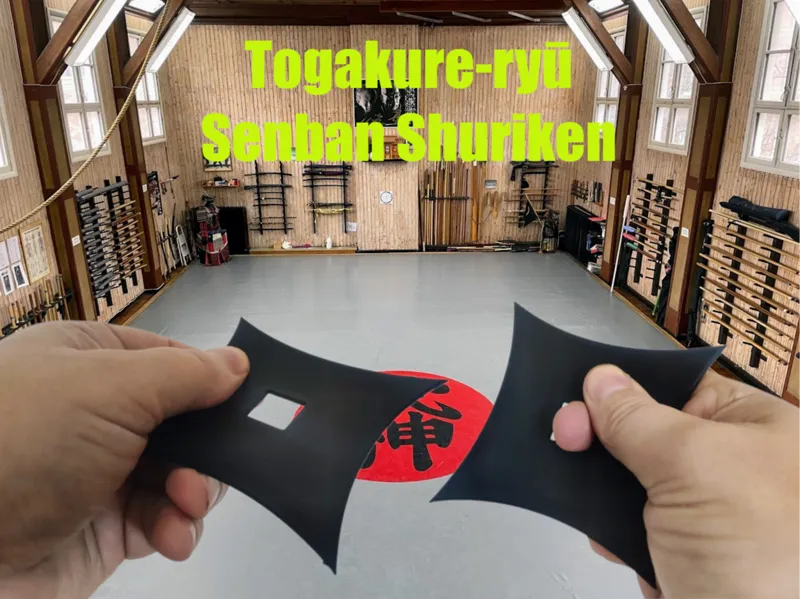 Togakure-ryū Senban Shuriken