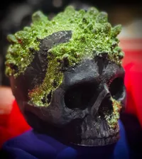 Crâne d'Halloween incrusté de cristaux — photo 2