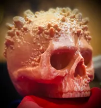Crâne d'Halloween incrusté de cristaux — photo 5