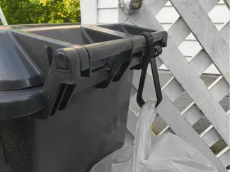 Bag hook for bin