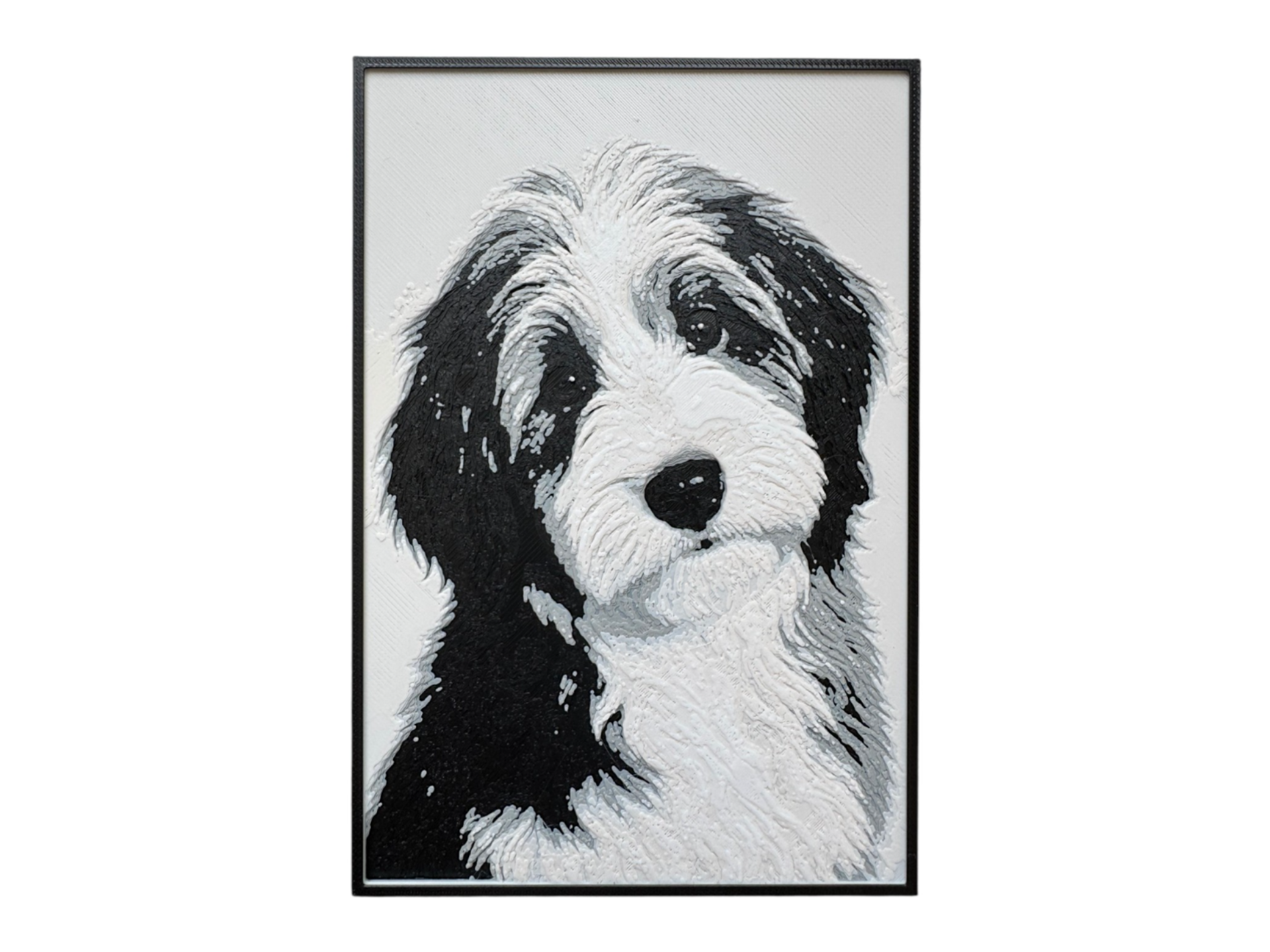 Bearded Collie Puppy Wall Art