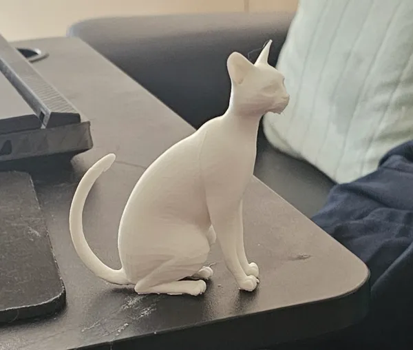 https://makerworld.bblmw.com/makerworld/model/USd9776c4f2dbae5/design/2024-02-22_5d385997a941f.jpg