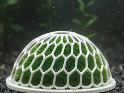 moss dome