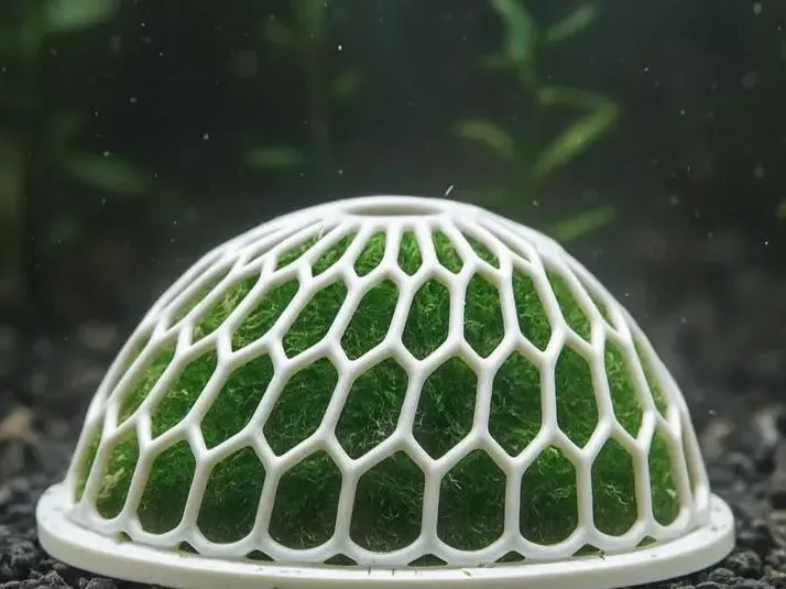 moss dome