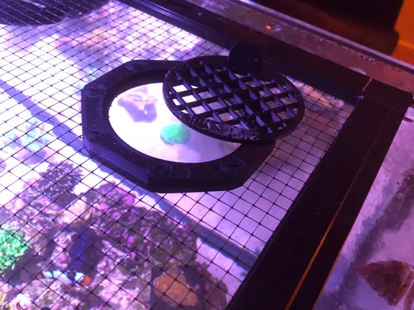 https://makerworld.bblmw.com/makerworld/model/USd97f5912122379/design/2024-11-19_af16bceb13089.jpg